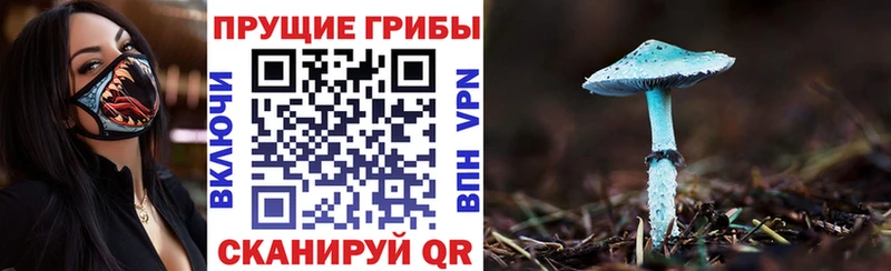 Псилоцибиновые грибы мухоморы сколько стоит Краснообск